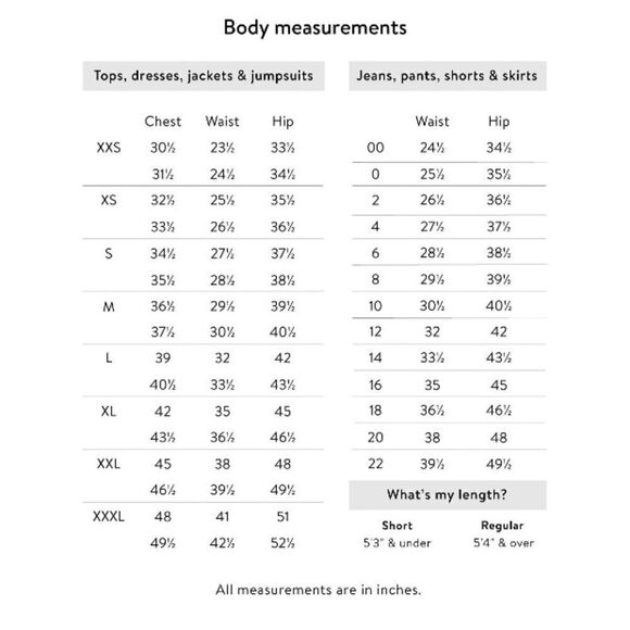 Women’s Sofia Vergara Eyelet Baby Doll Soft Comfy Blouse Top Shirt Size M - Picture 6 of 7